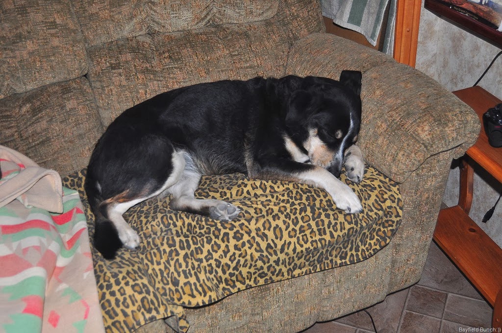 [DSC_0132%255B4%255D.jpg]