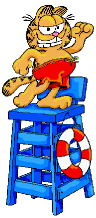 Garfield vacaciones  (1)