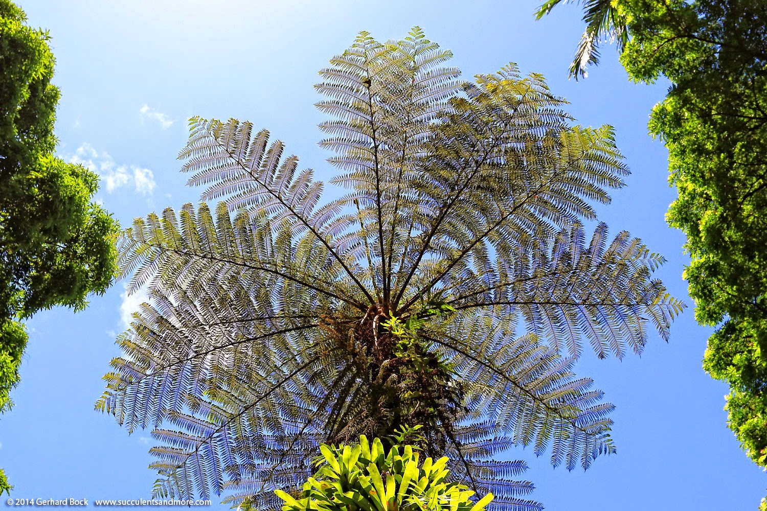 [140726_HawaiiTropicalBotanicalGarden_0146%255B2%255D.jpg]