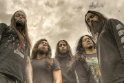 Disgorge