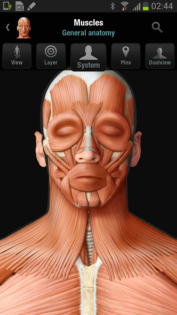 Android application Virtual Human Body screenshort