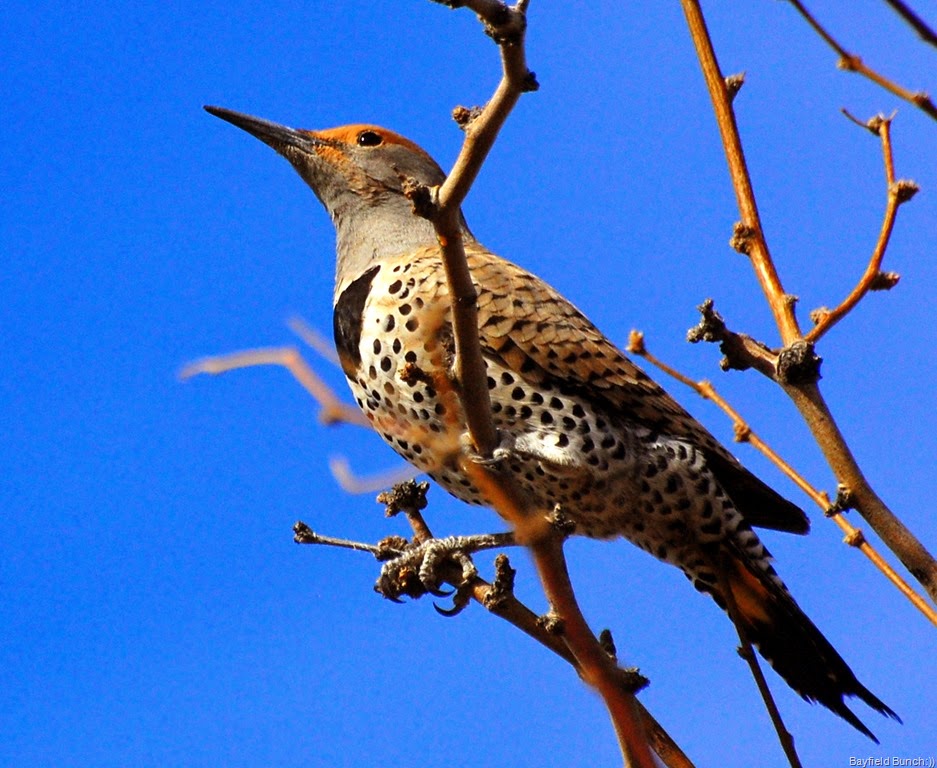 [DSC_2929%255B4%255D.jpg]