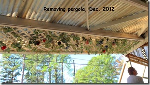 Pegola-removal-Dec-2012.