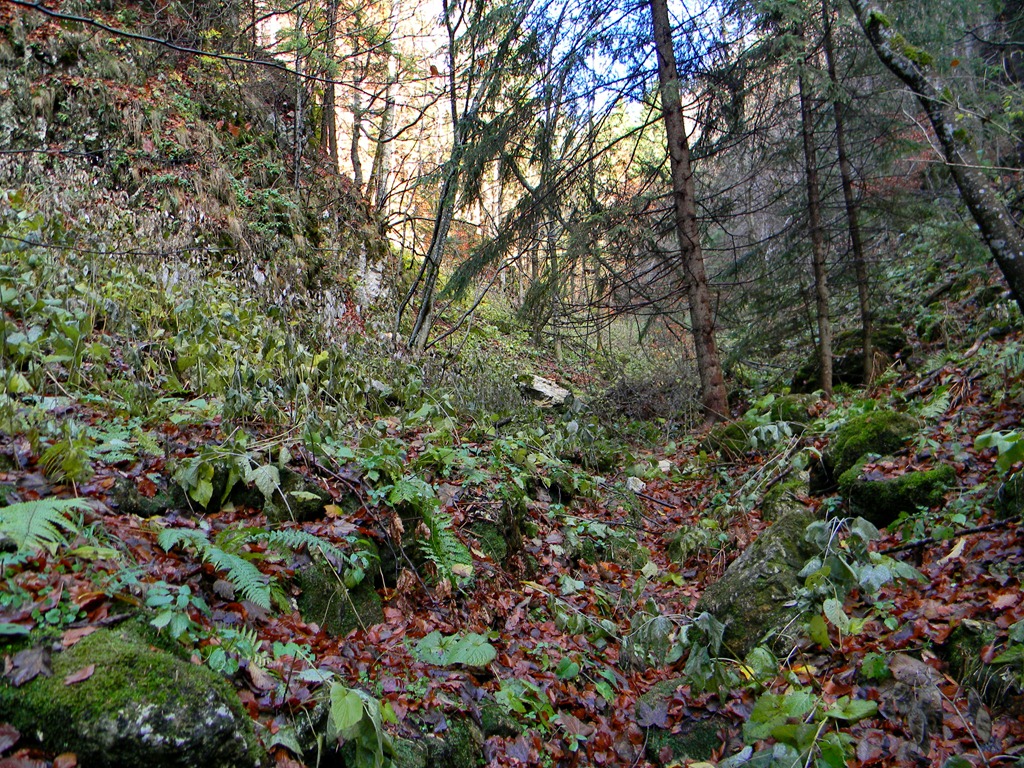 [DSCN99123.jpg]