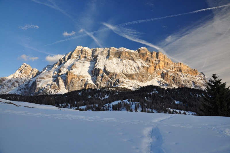 DSC_8209.JPG DSC 8209