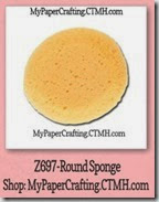 sponge-200