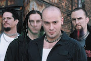Disturbed