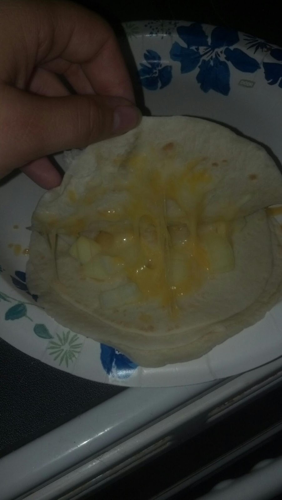 Katie can't cook Microwave quesadilla