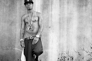 Plies