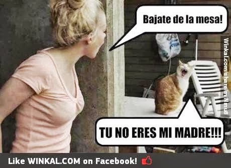 [bajate%255B2%255D.jpg]