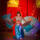 IMG_8249.JPG