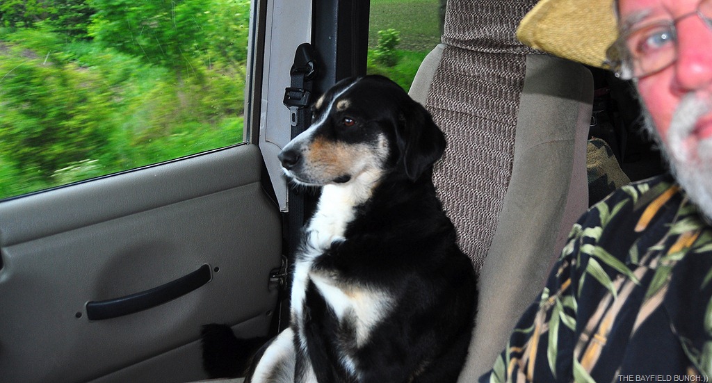 [DSC_0017%255B3%255D.jpg]