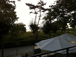 Insel Rügen 2010 - 16