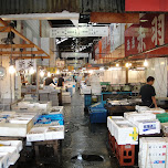 tsukiji fish market in Tokyo, Japan 