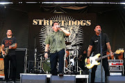 Street Dogs