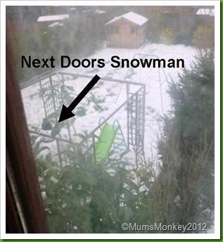 next door's snowman