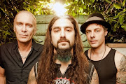 Winery Dogs