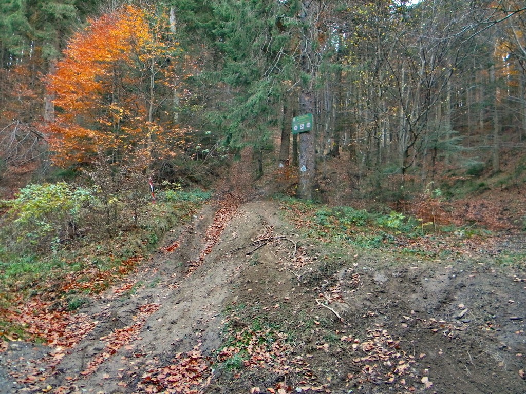 [DSCN90613.jpg]