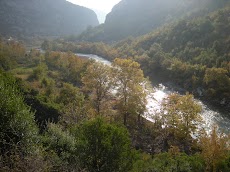 DSCN4831.JPG