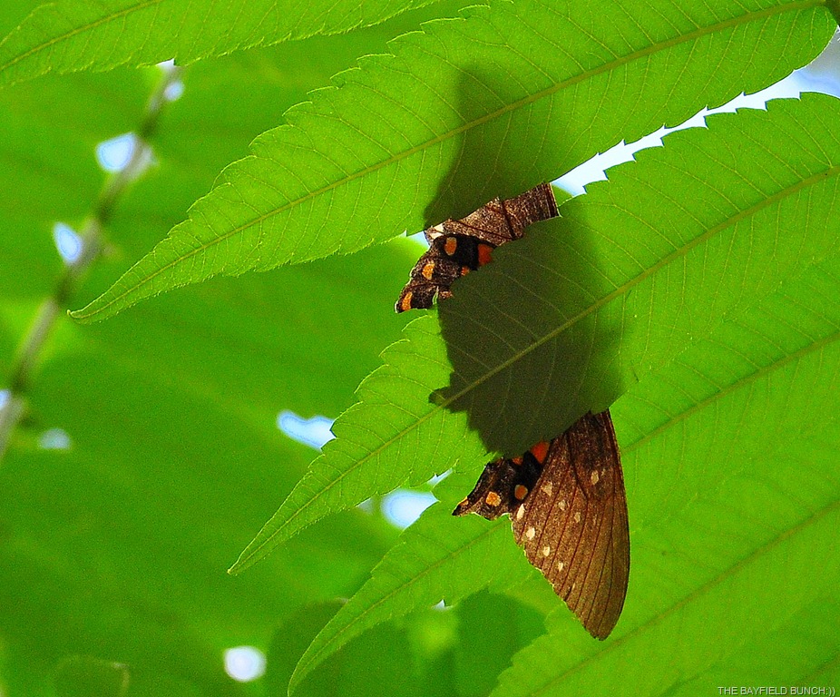 [DSC_0033%255B4%255D.jpg]