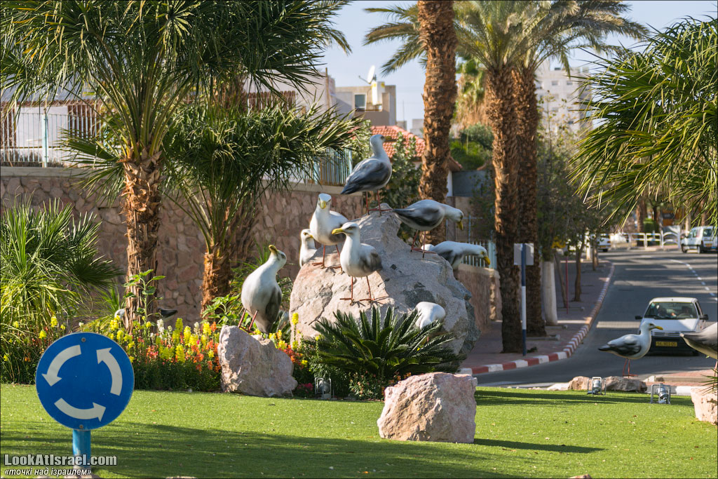Проект блога LookAtIsrael.com о городах Израиля. Эйлат