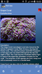 Pocket Guide Red Sea Screenshots 1