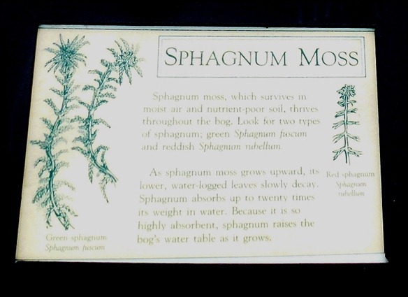 04w10 - Hike - Sphagnum Moss Sign