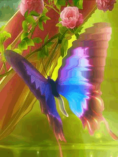 borb5.png