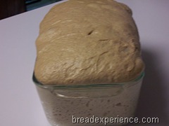 sprouted-wheat-bread 030
