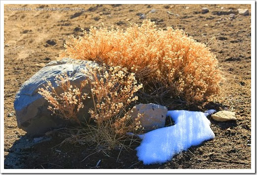 140118_MtShasta_afternoon_rocks_and_grasses_and_snow