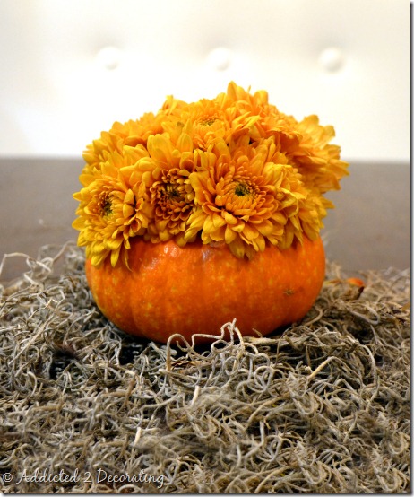 miniature pumpkin vase--natural color