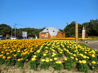 寺山公園に行ってみた Yukin Radio