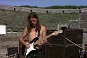 David Gilmour