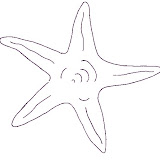 stella.jpg