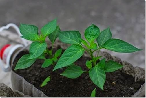 [clip_image0103.jpg]