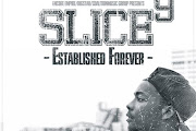 Slice 9