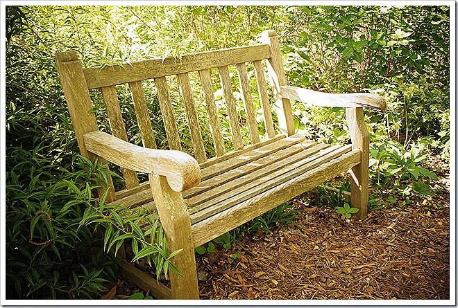 benches-public-domain-pictures-1 (402)