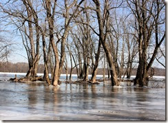 Susquehanna River, York Haven PA, by Sue Reno, image 3