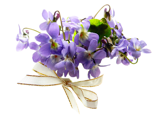 0_d4026_d1872d9a_XL%25255B1%25255D.png