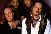 Wildhearts