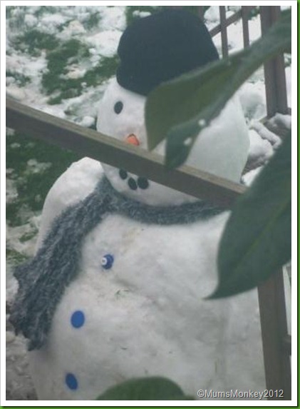 Snowman Next Door d