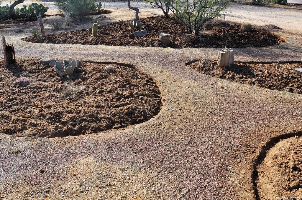 [DSC_0008%2520-%2520Copy%255B3%255D.jpg]