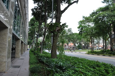 DSC_0356.JPG