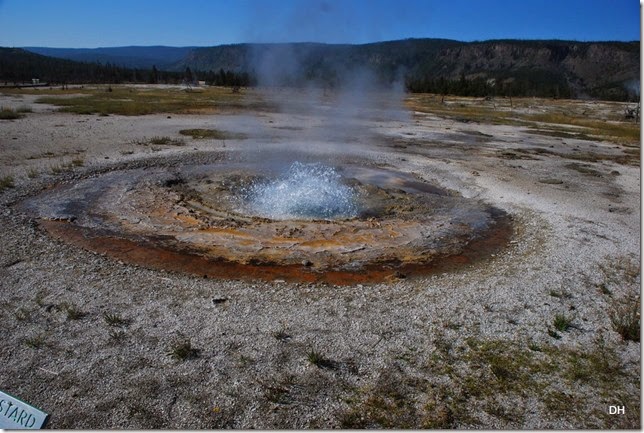 08-11-14 A Yellowstone National Park (200)