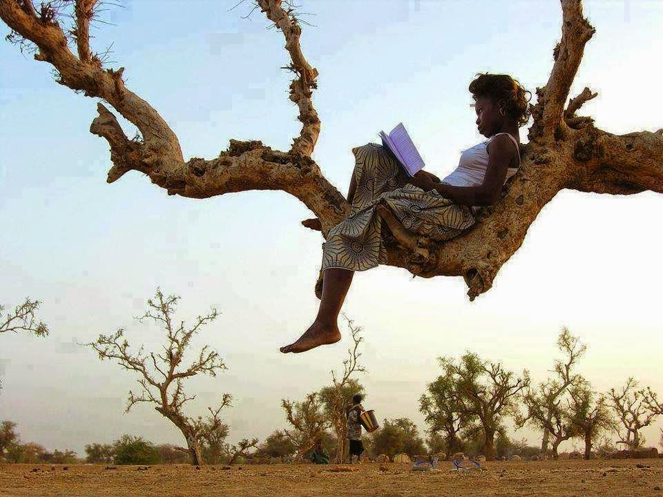[african-woman-reading-on-a-tree3.jpg]