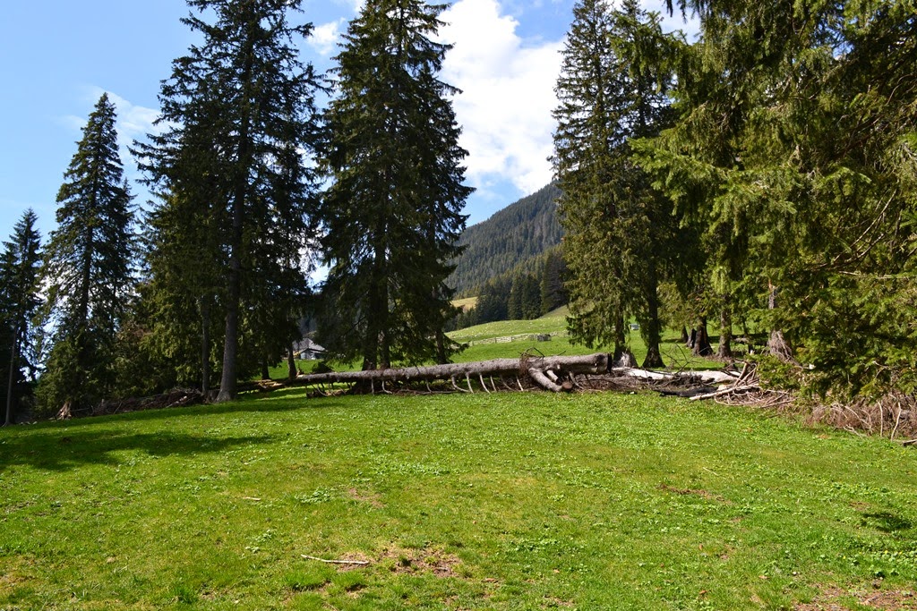 [DSC_81113.jpg]