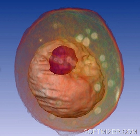 [2011-12-26_145328%255B6%255D.jpg]