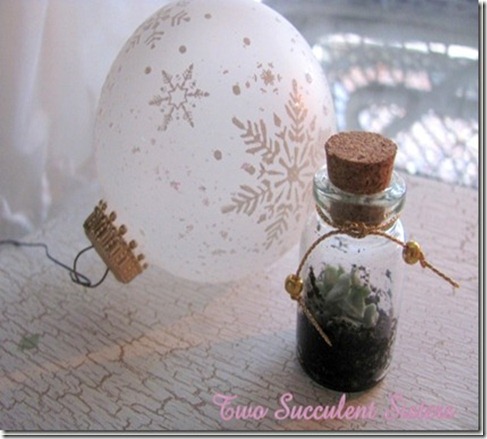 Tiny Succulent in a Bottle_thumb[2]