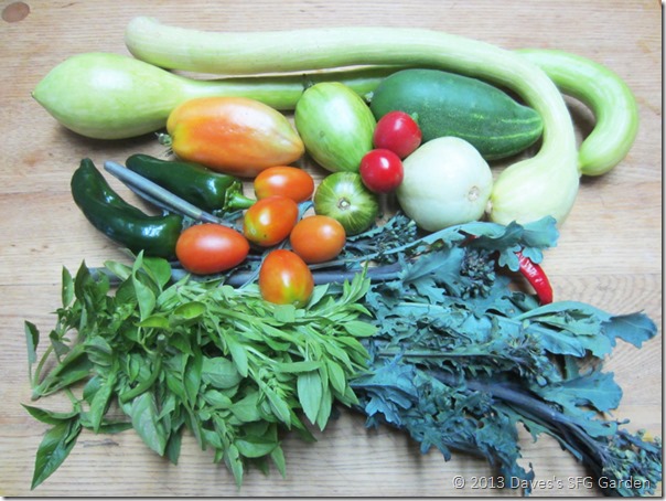 Tromboncino&veggies