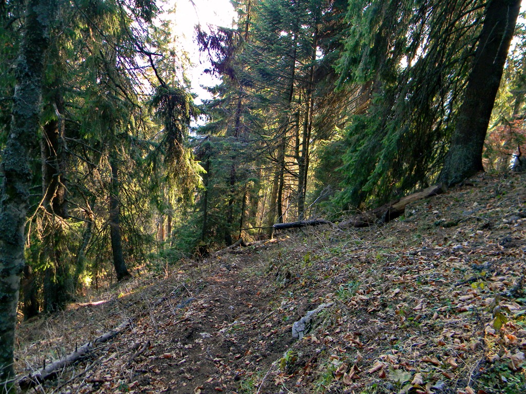 [DSCN10423.jpg]
